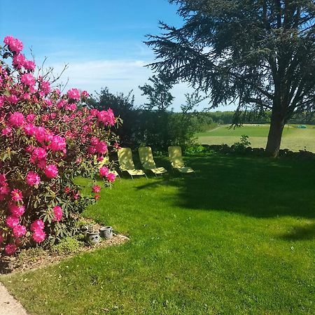 Gite Belle Fleur 6 Personnes- Vosges Saint-Nabord Eksteriør bilde