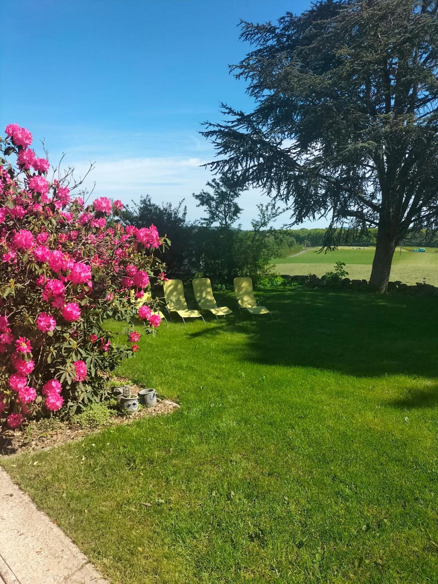 Gite Belle Fleur 6 Personnes- Vosges Saint-Nabord Eksteriør bilde